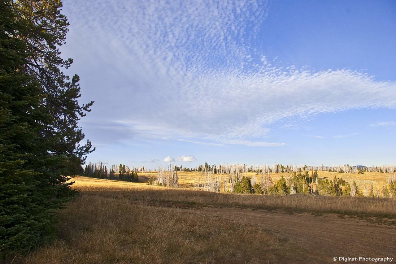 _MG_3260.jpg