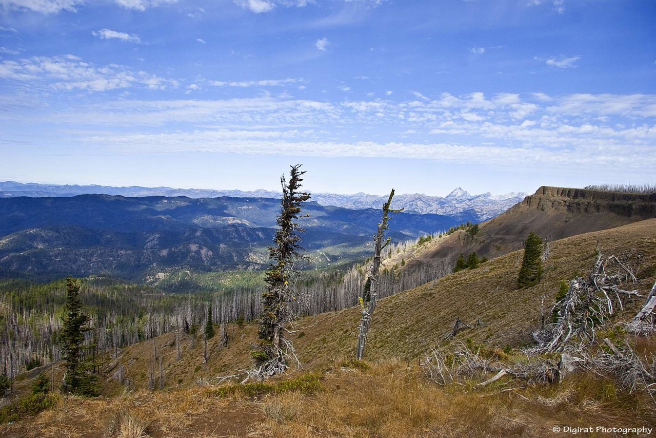 _MG_3263.jpg