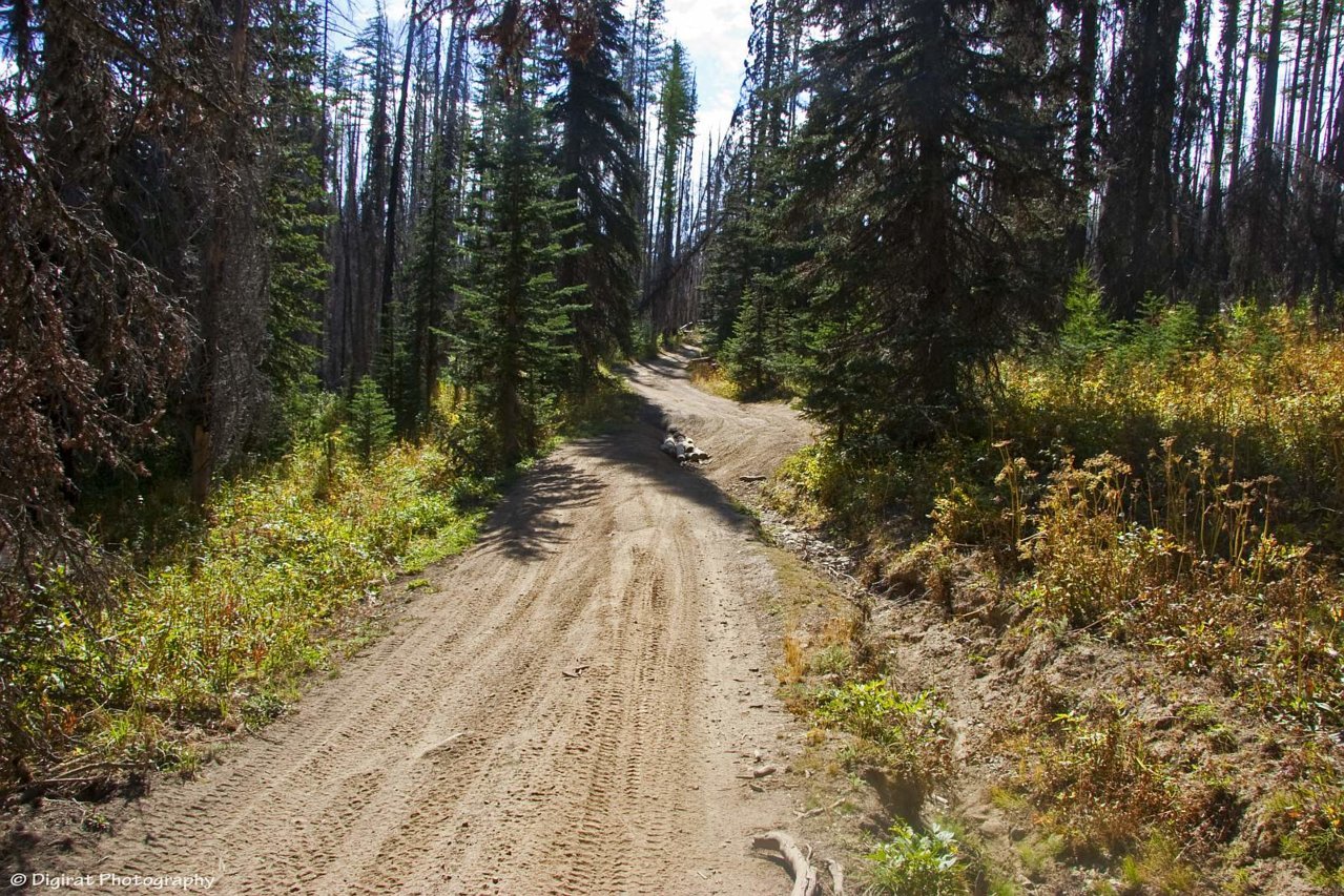 _MG_3266.jpg