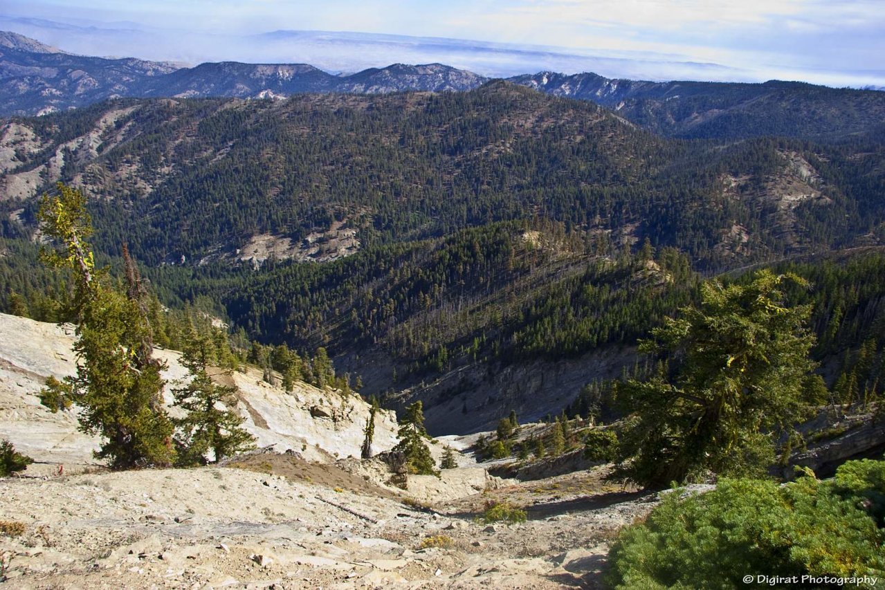 _MG_3276.jpg