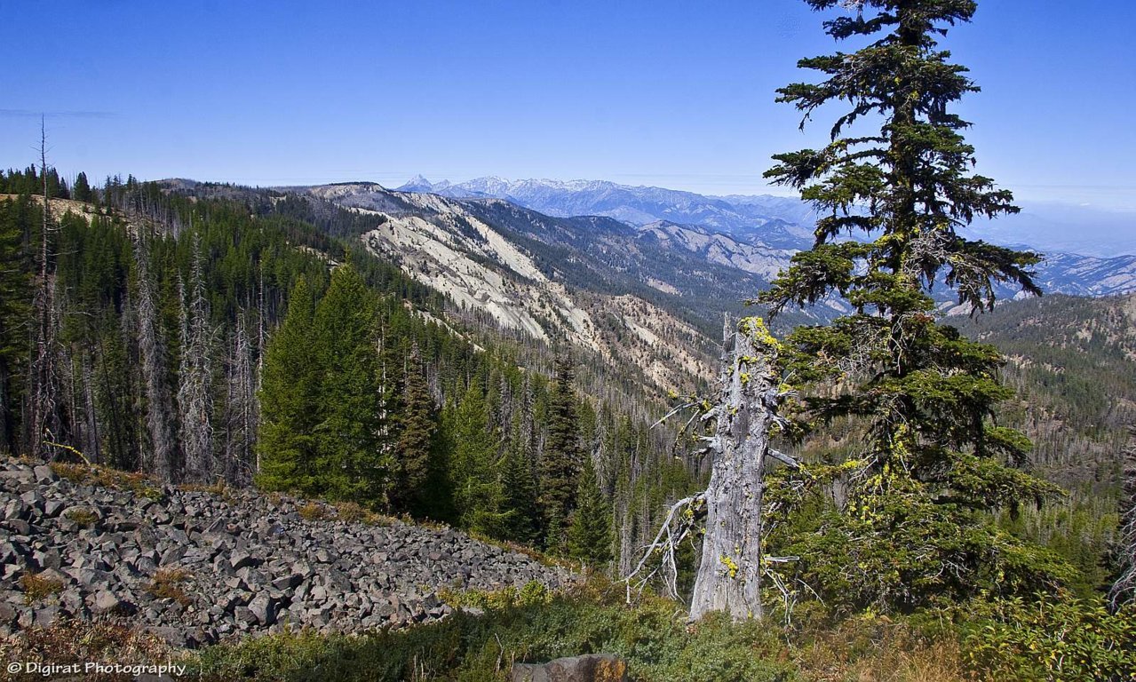 _MG_3278.jpg