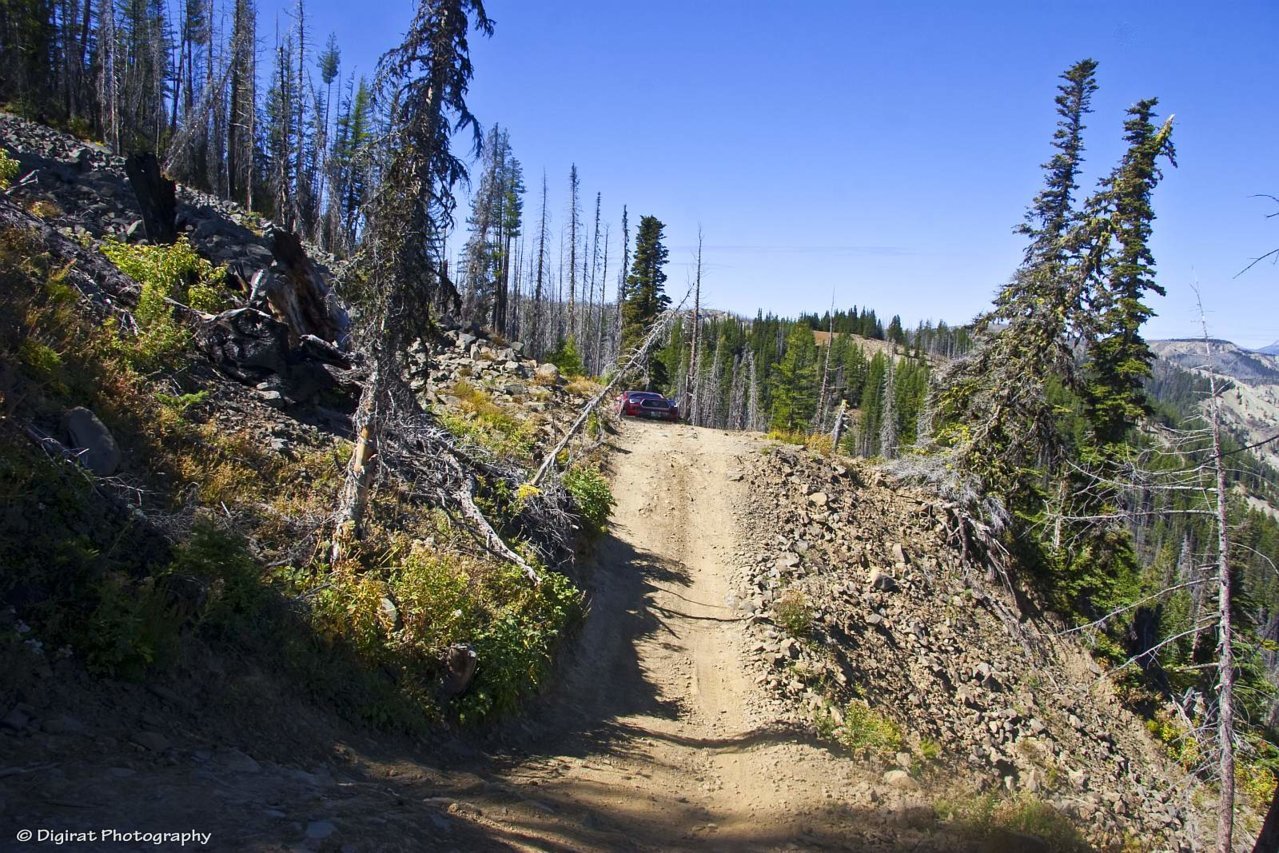 _MG_3286.jpg