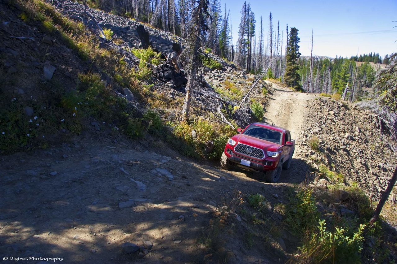_MG_3290.jpg