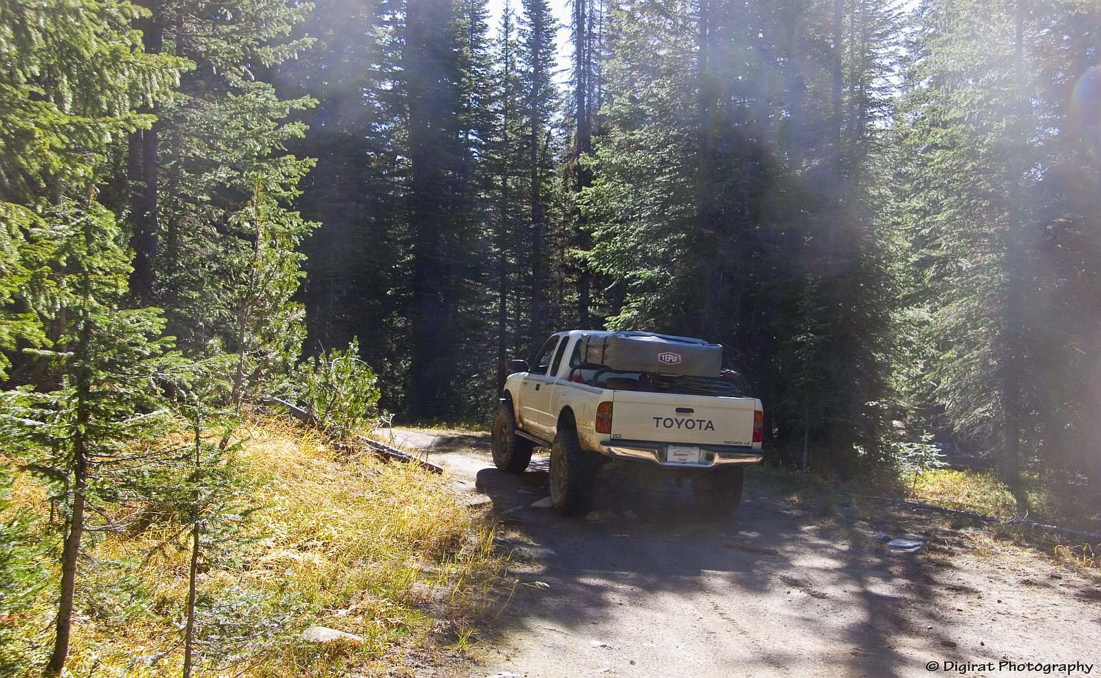 _MG_3373.jpg
