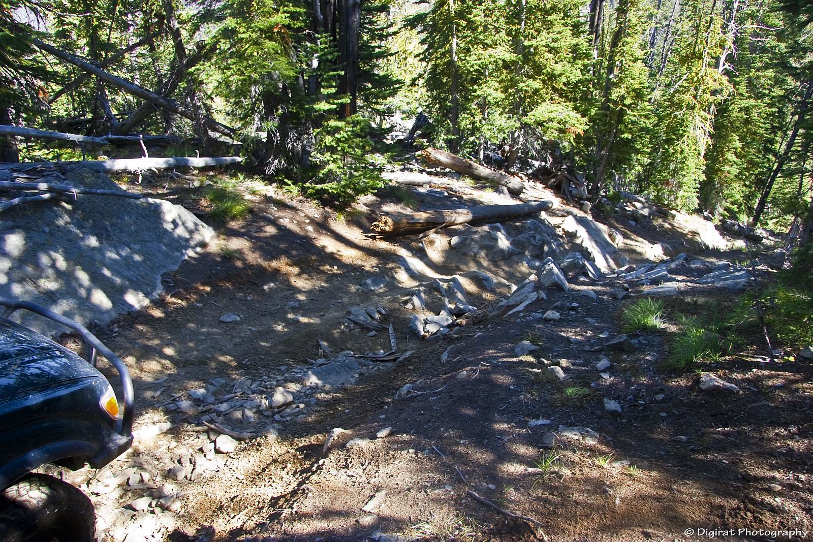 _MG_3376.jpg