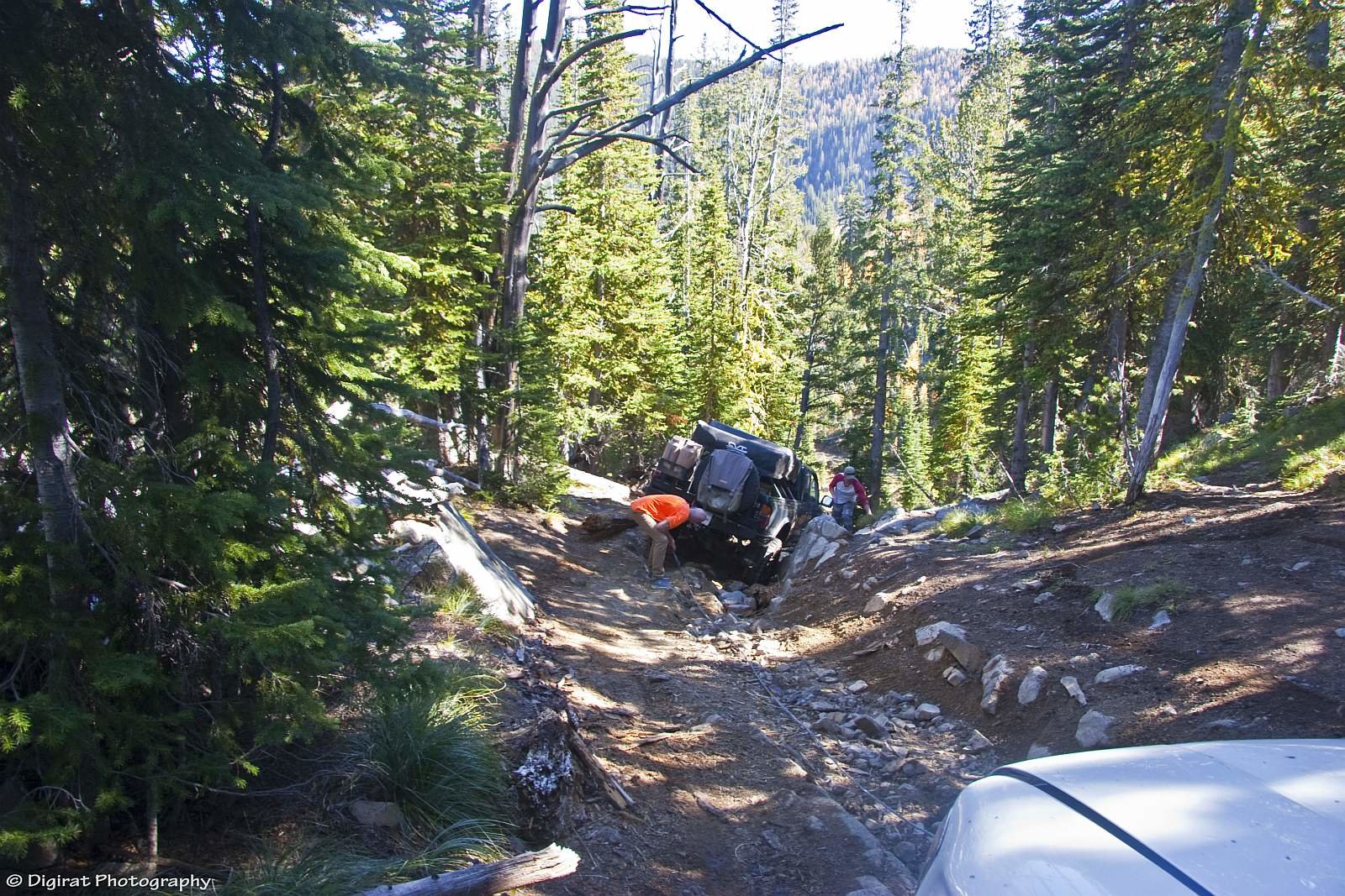 _MG_3381.jpg