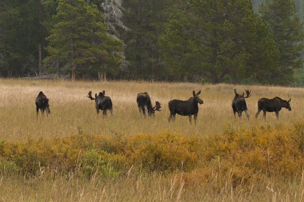 _MG_3407.jpg