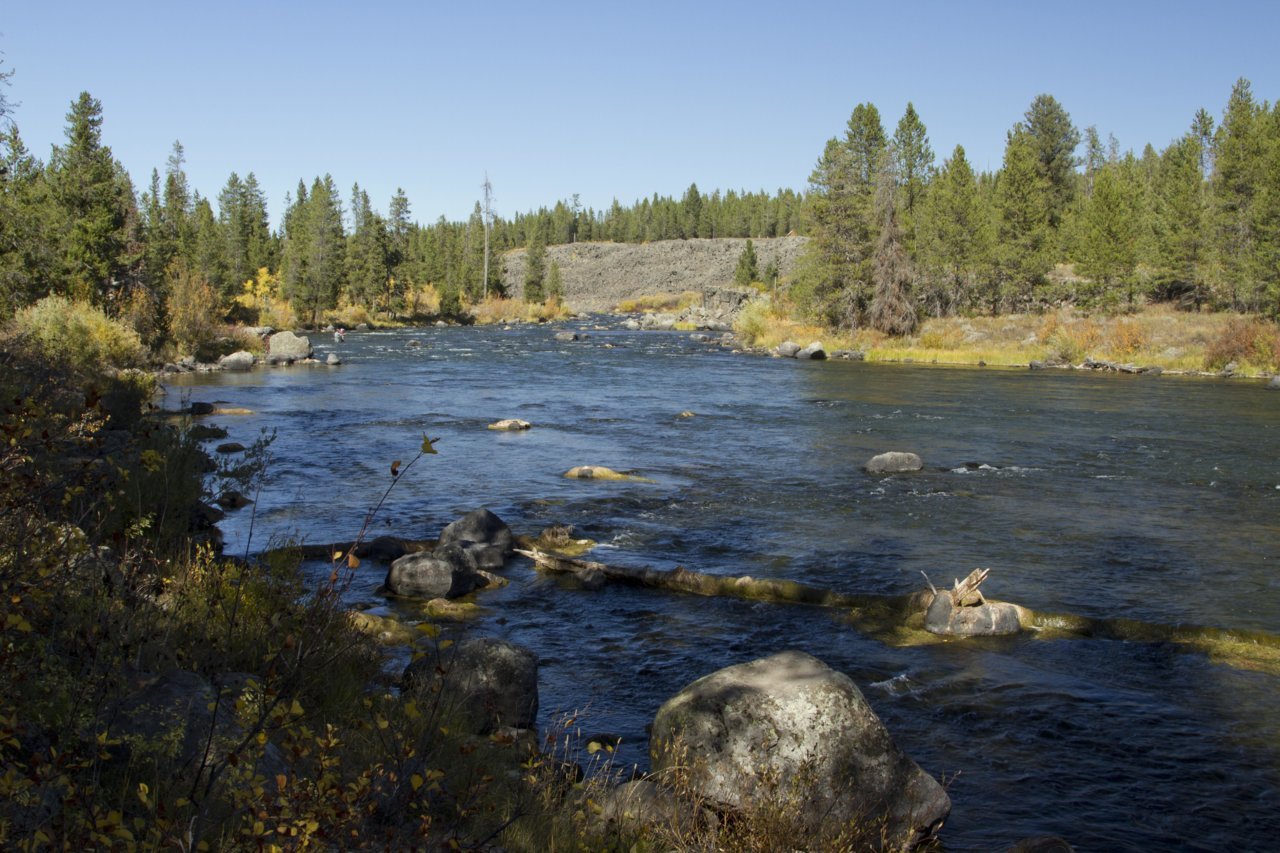 _MG_3422.jpg
