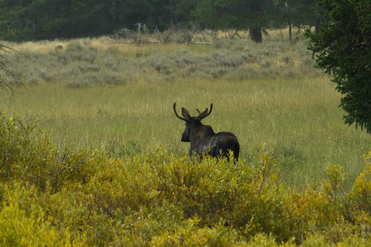 _MG_3427.jpg