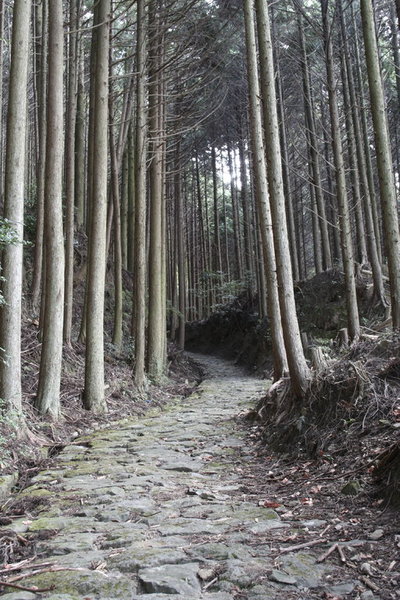 _MG_3588.jpg