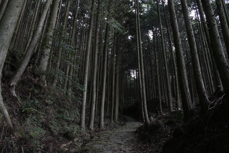 _MG_3592.jpg