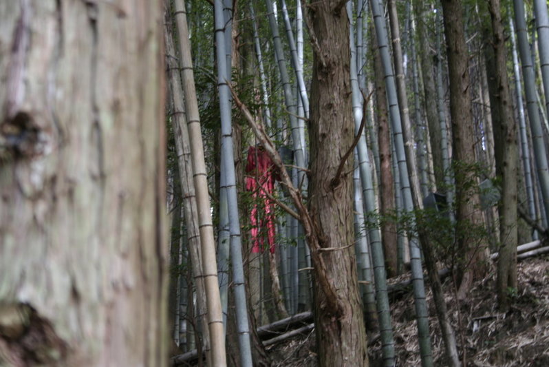 _MG_3593.jpg