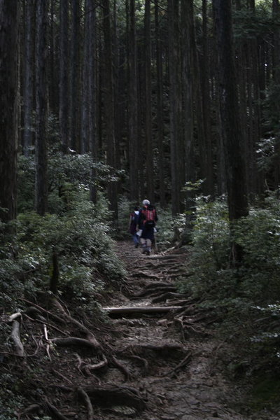 _MG_3598.jpg