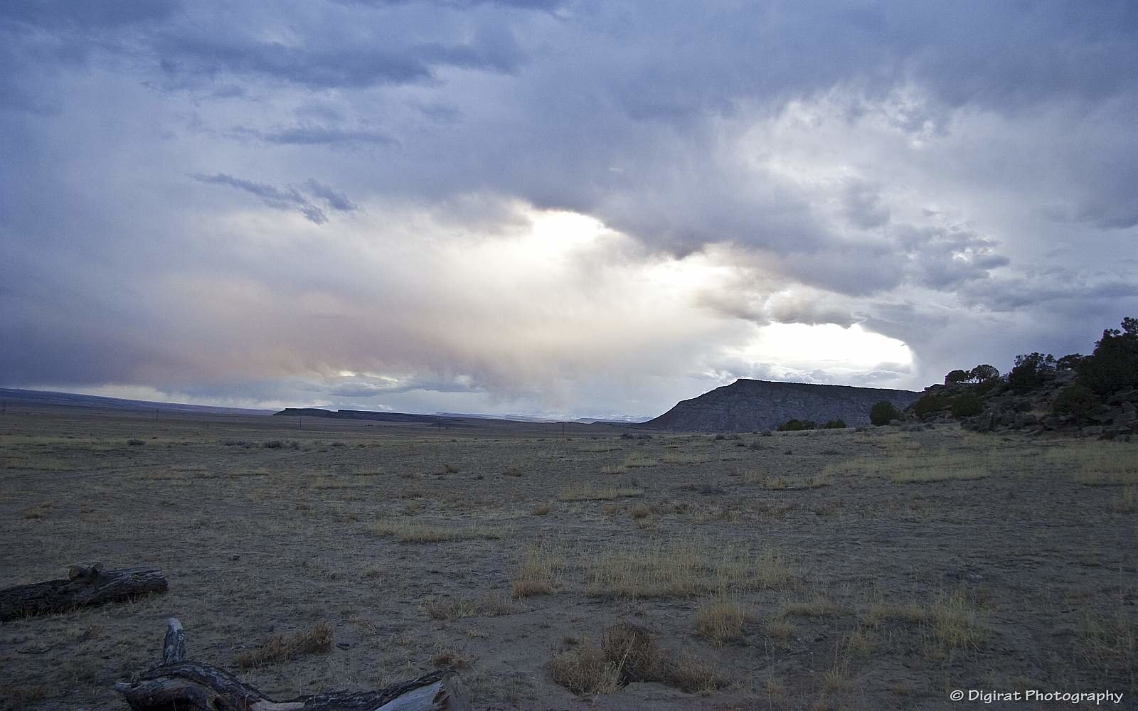 _MG_3757.jpg