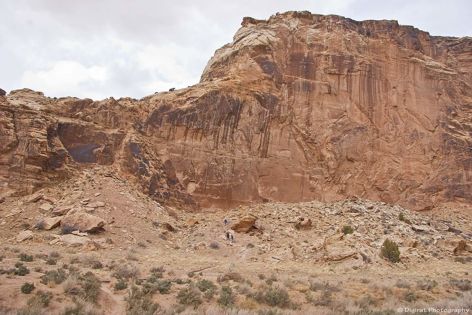 _MG_3786.jpg