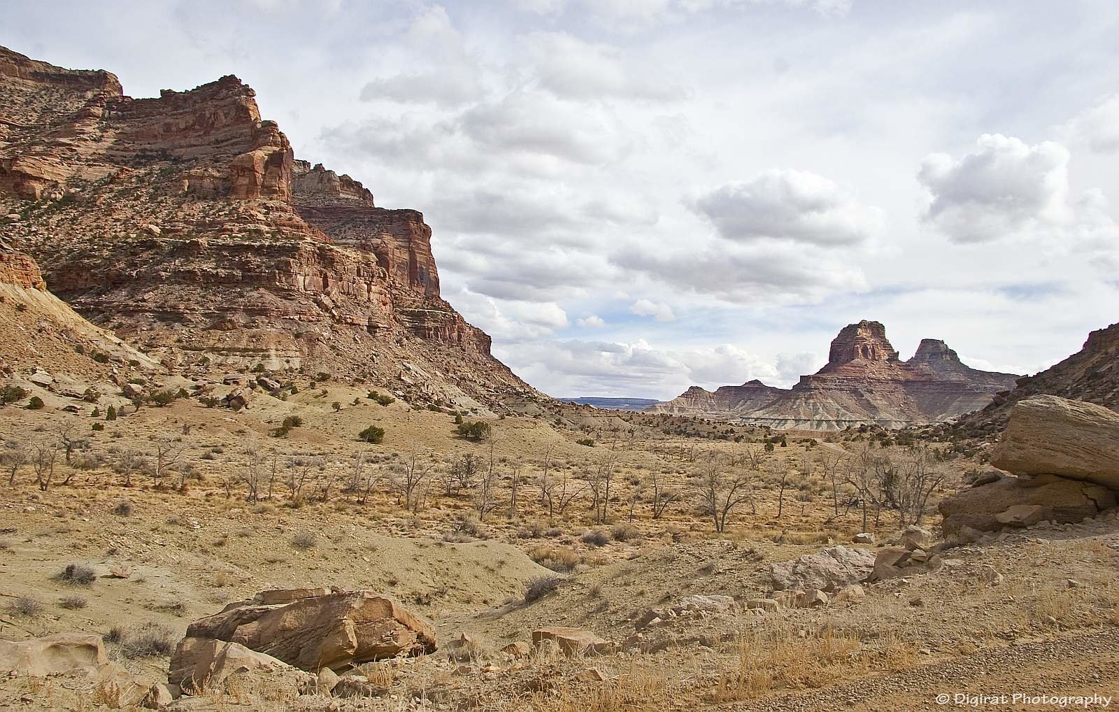 _MG_3816.jpg