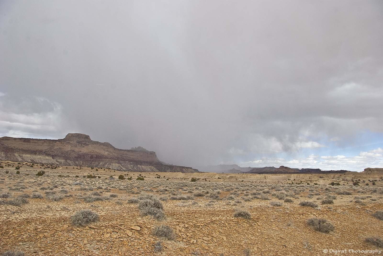 _MG_3844.jpg