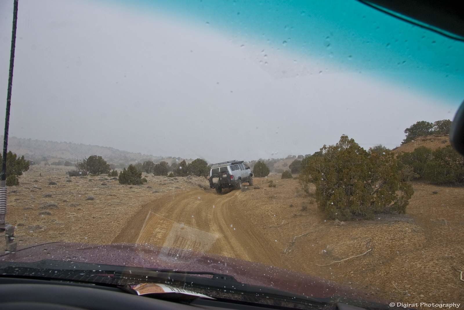 _MG_3845.jpg