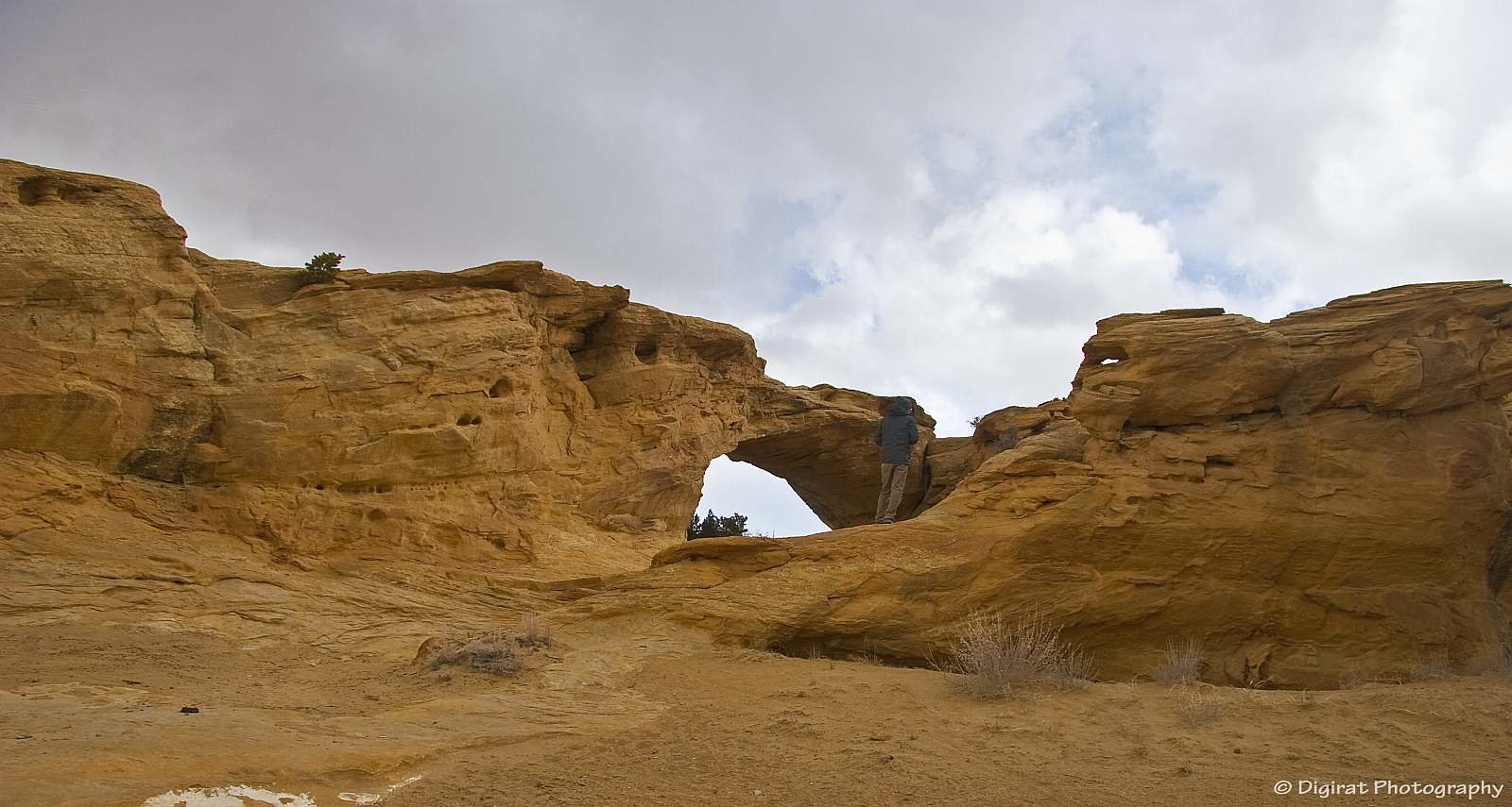 _MG_3862.jpg