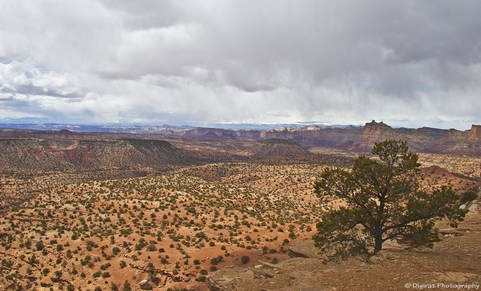 _MG_3909.jpg