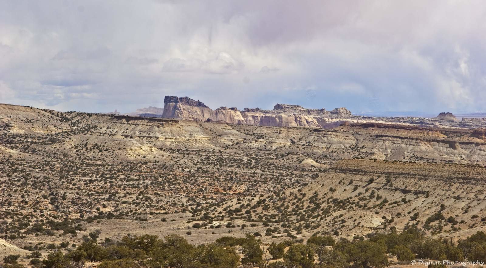 _MG_3920.jpg
