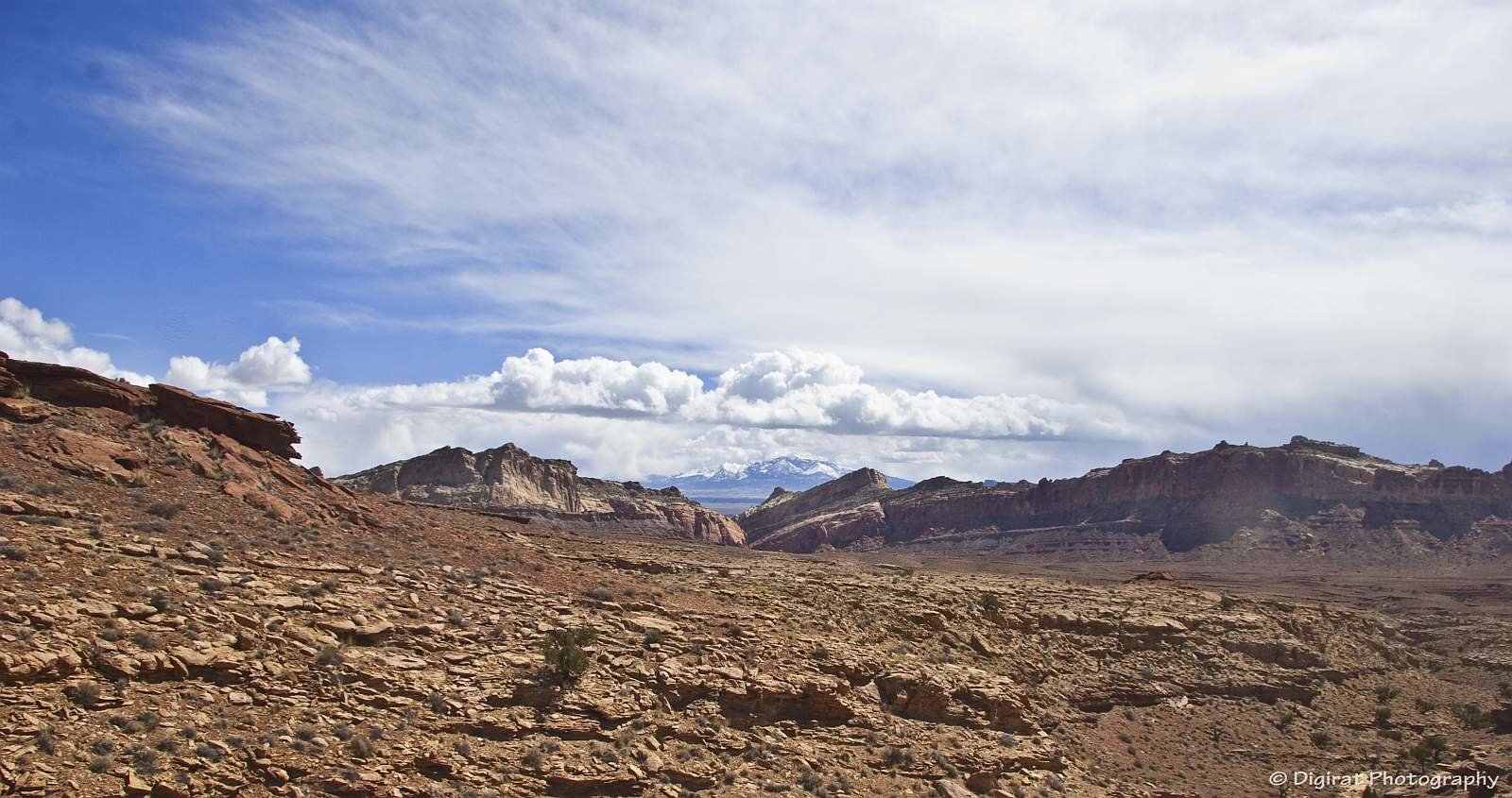 _MG_3935.jpg