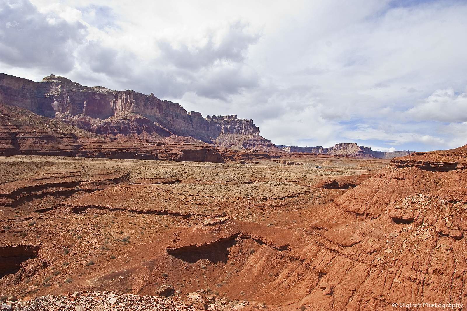_MG_3938.jpg