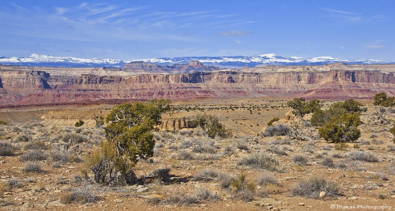 _MG_3946.jpg