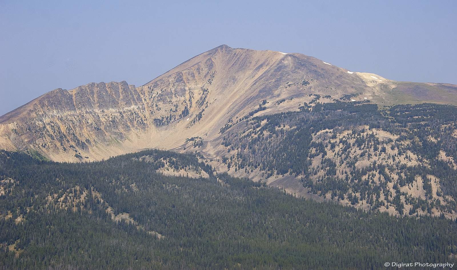 _MG_4203.jpg