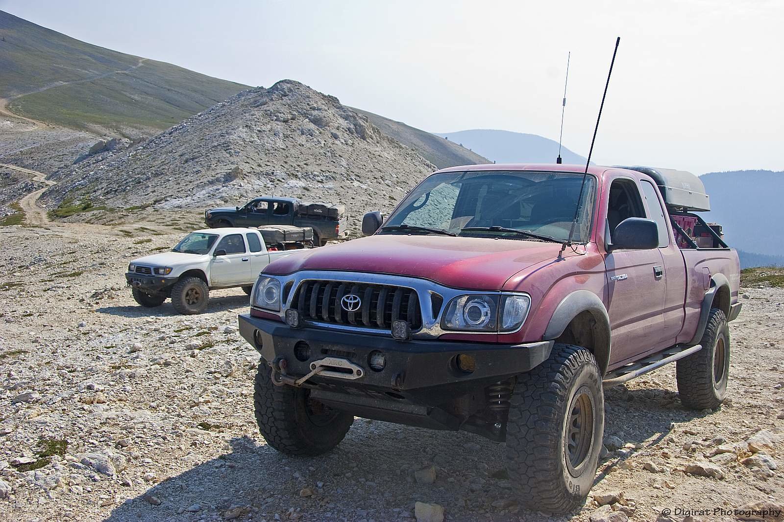 _MG_4204.jpg