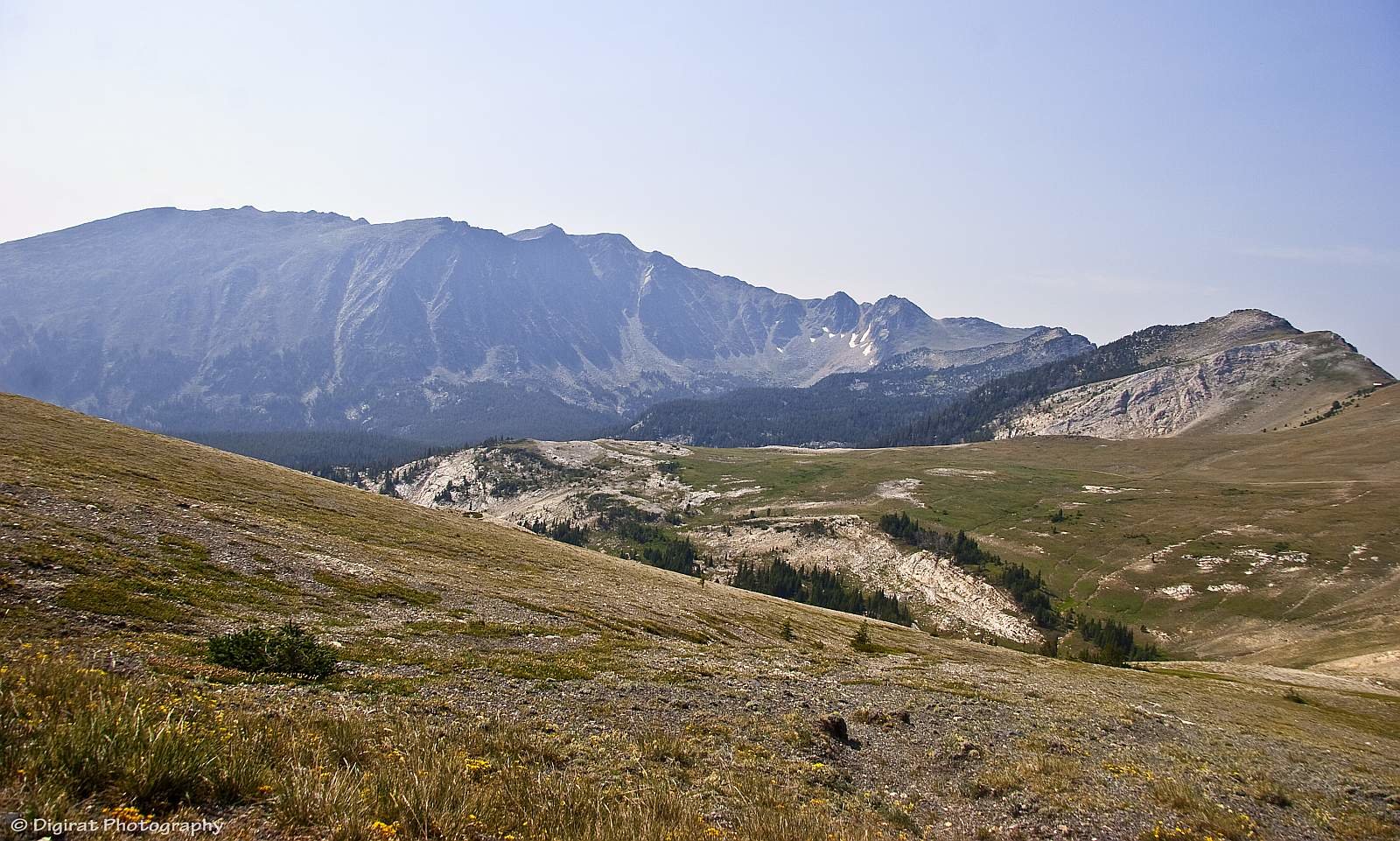 _MG_4207.jpg