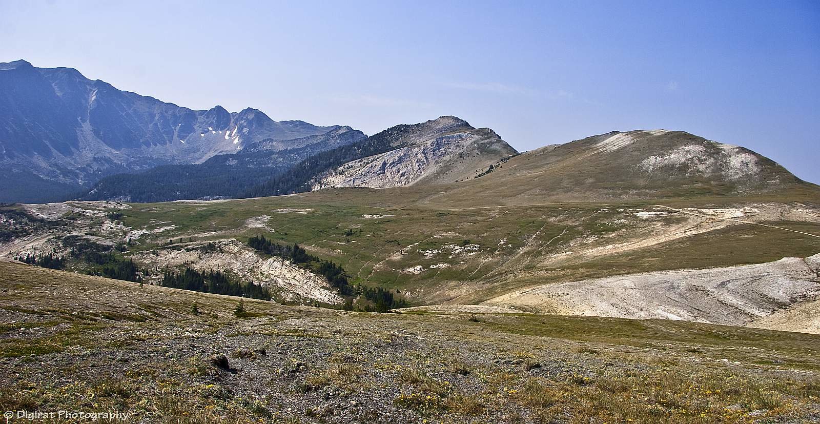 _MG_4208.jpg