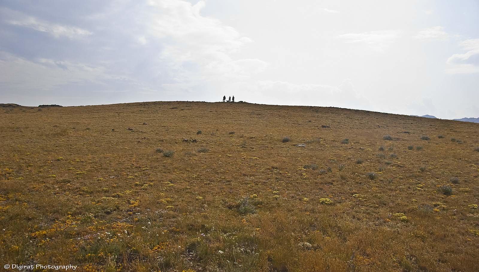 _MG_4216.jpg