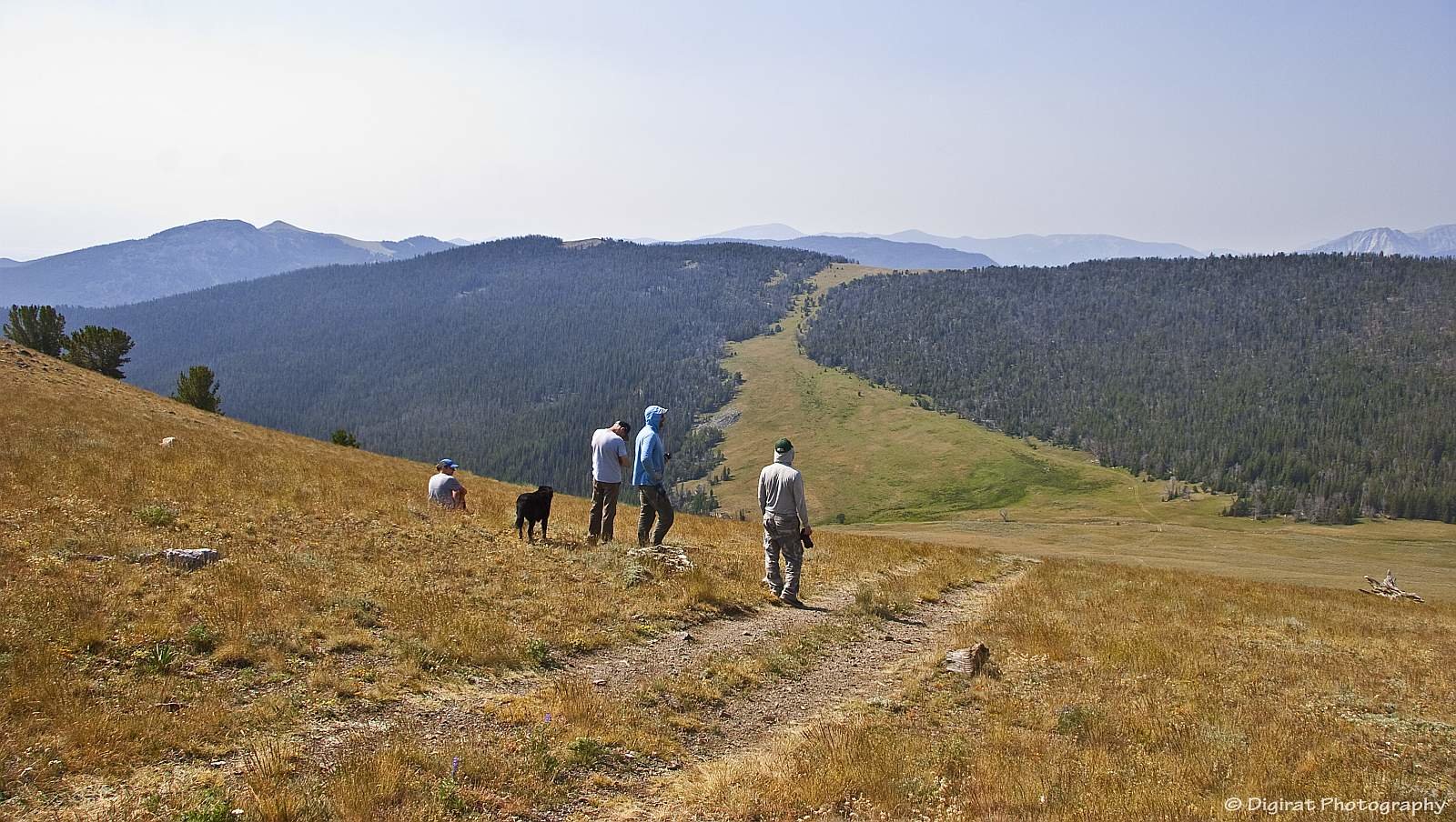 _MG_4228.jpg