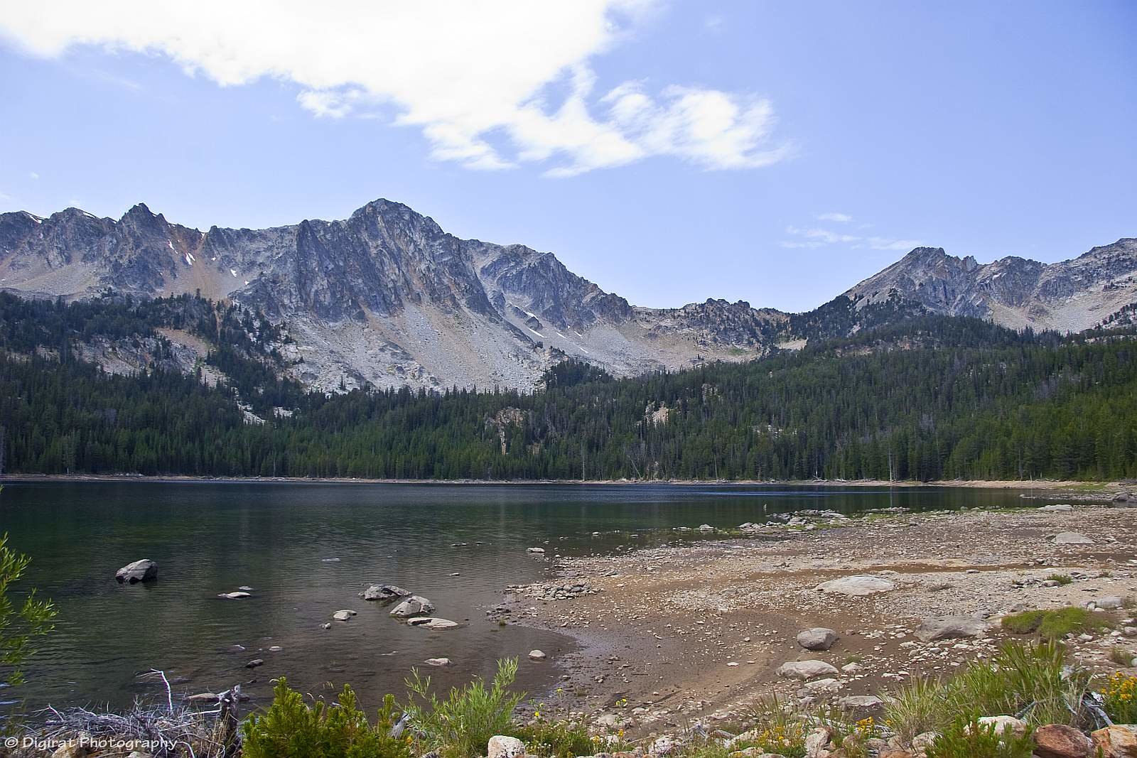 _MG_4233.jpg