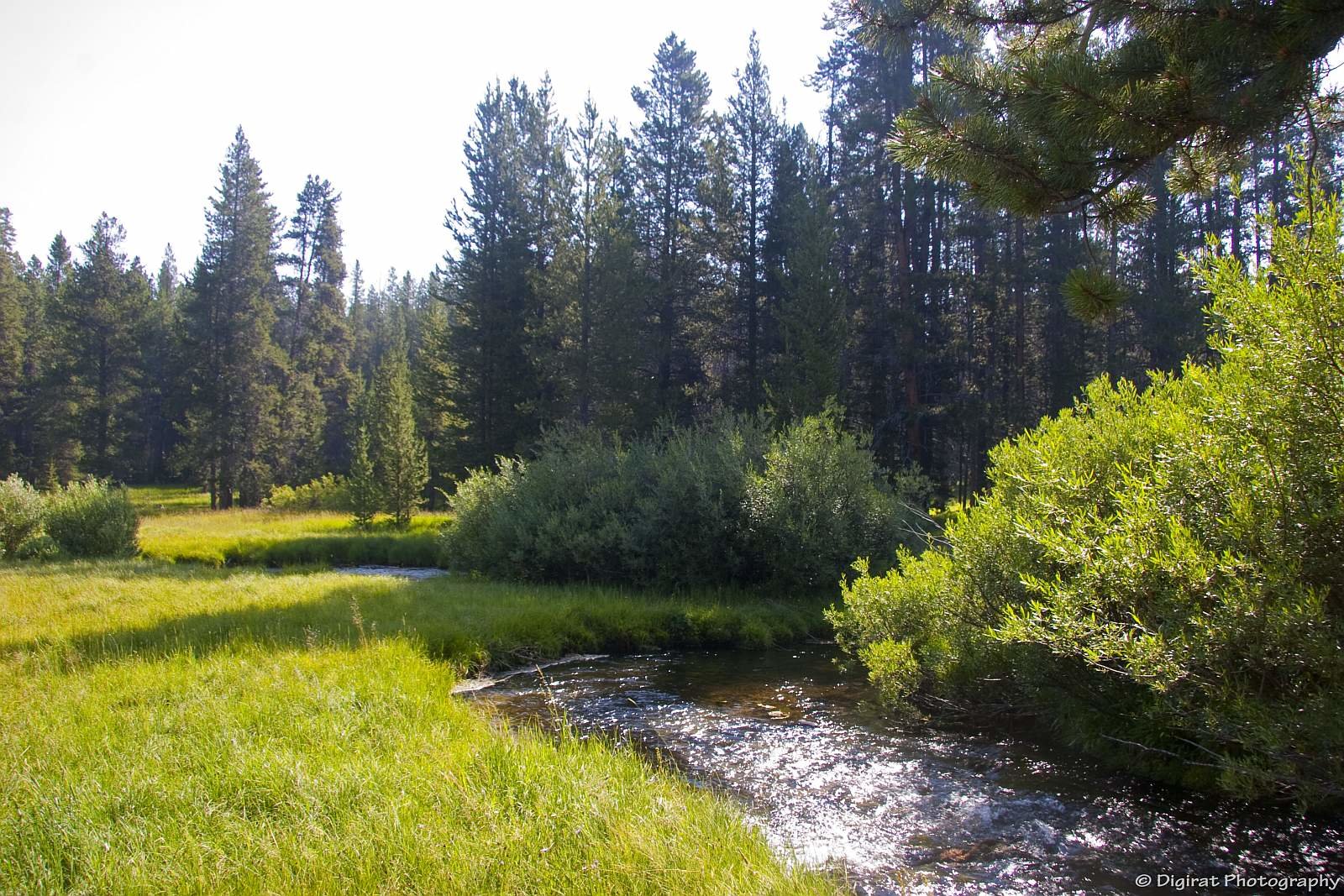 _MG_4259.jpg