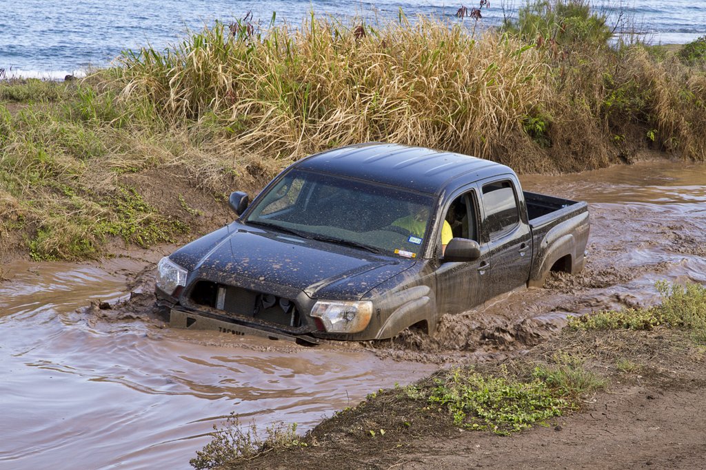_MG_4274_d57b57599a80031c9a825e26df166c3fc1e34cba.jpg