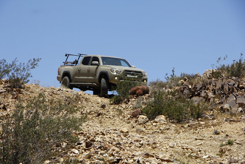 _MG_4353.jpg