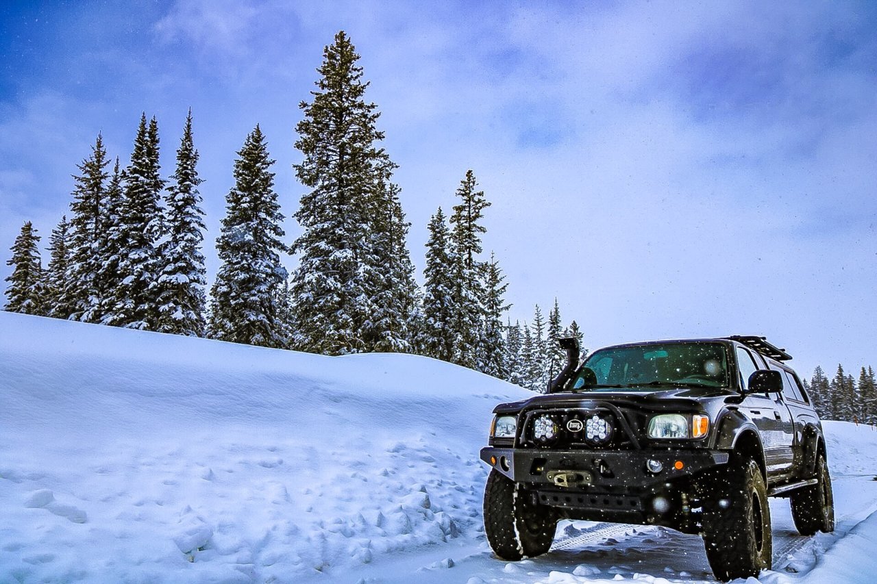 _MG_4519.jpg
