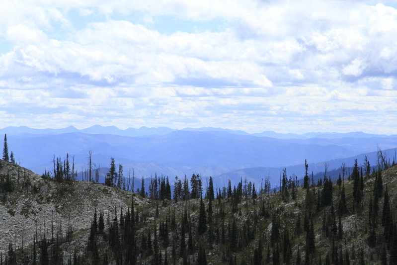 _MG_4971.jpg