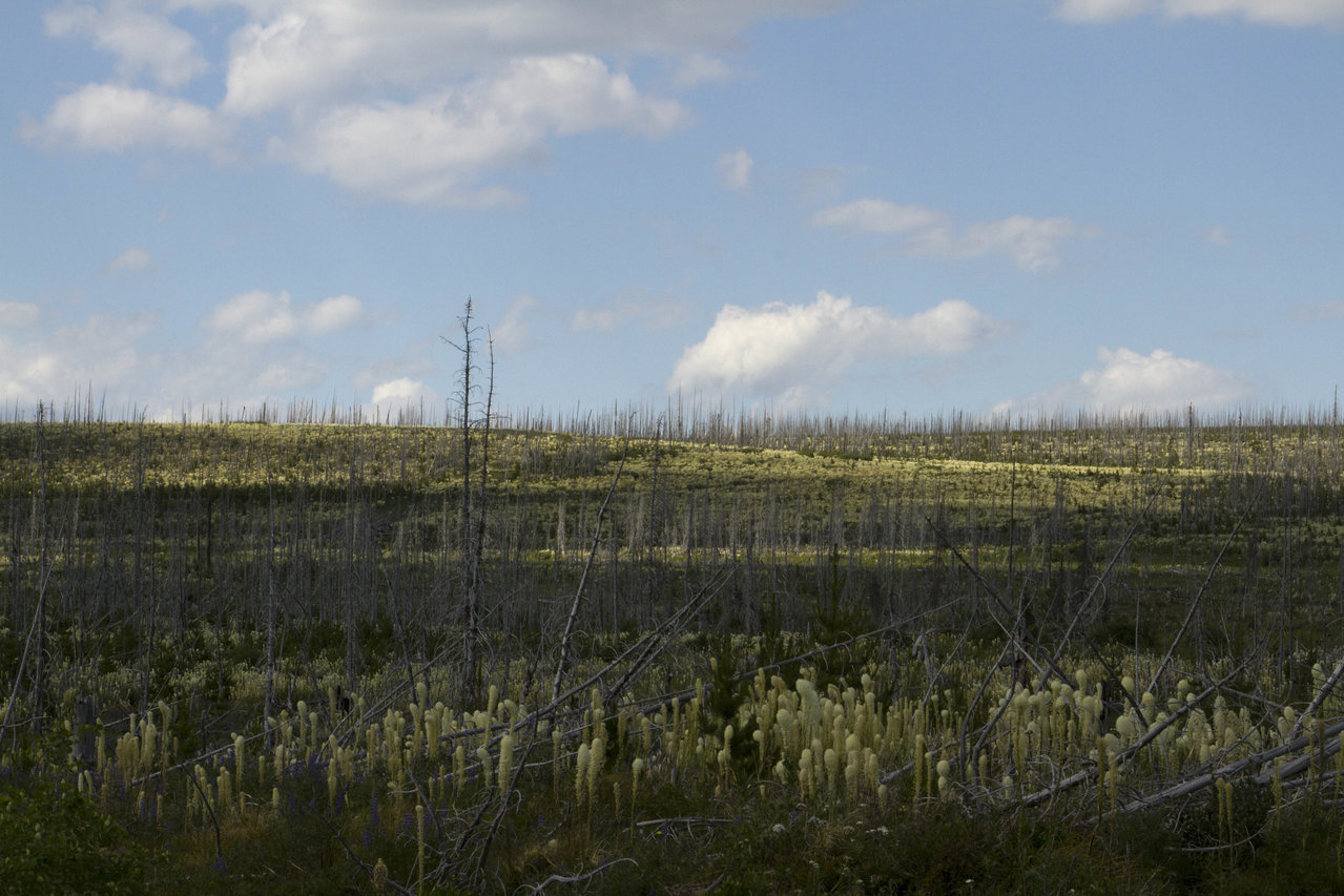 _MG_5080.jpg