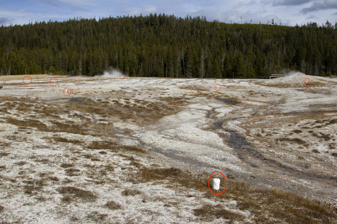 _MG_5346.jpg
