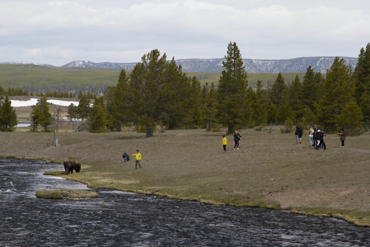 _MG_5629.jpg