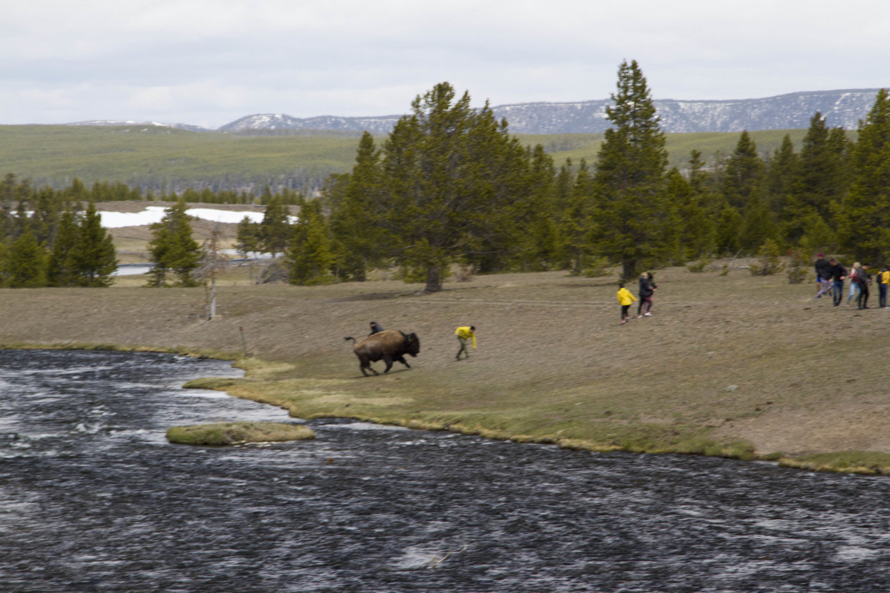_MG_5630.jpg