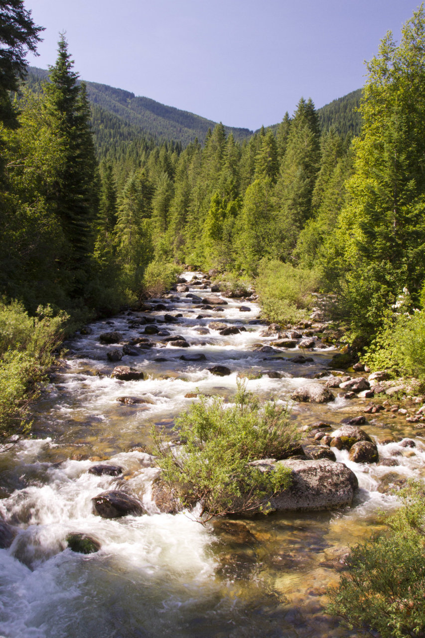 _MG_6376.jpg