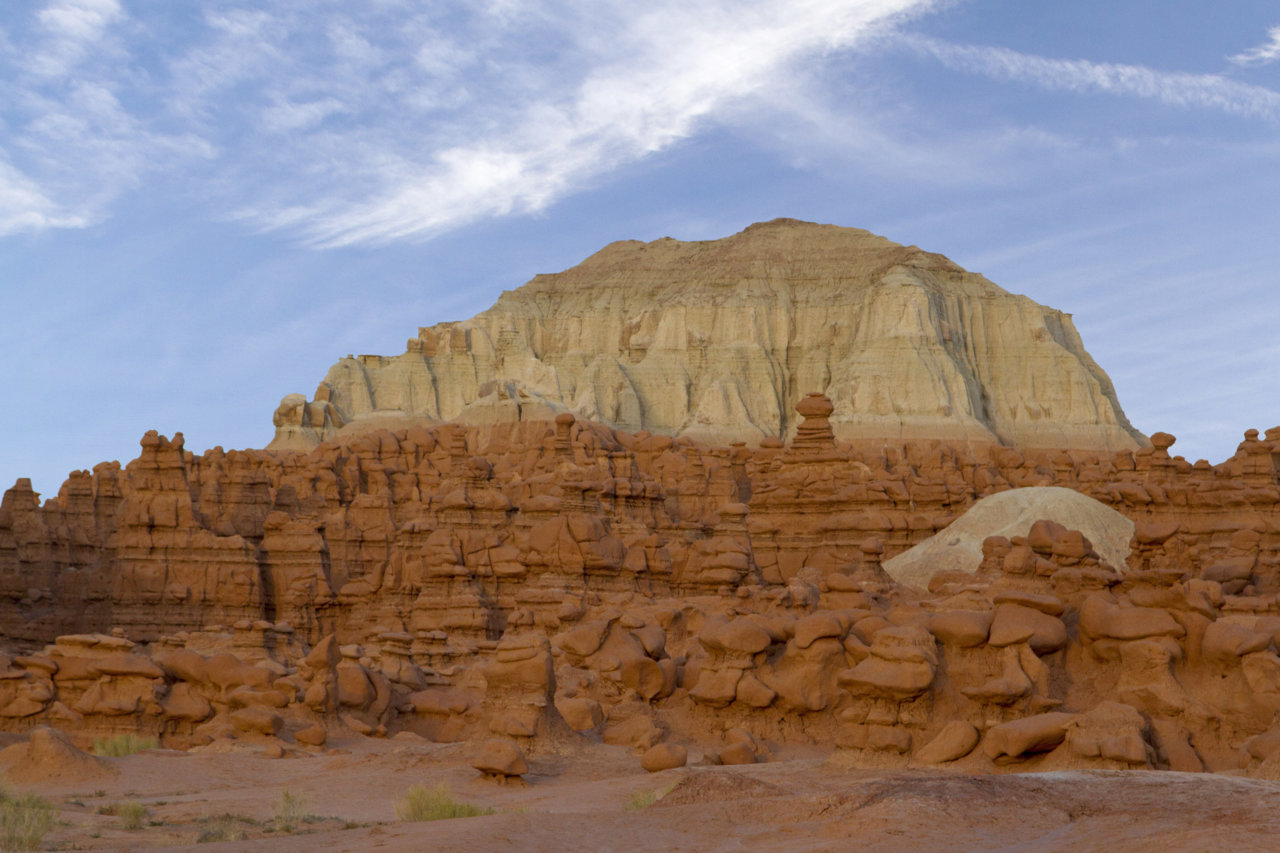 _MG_7709.jpg