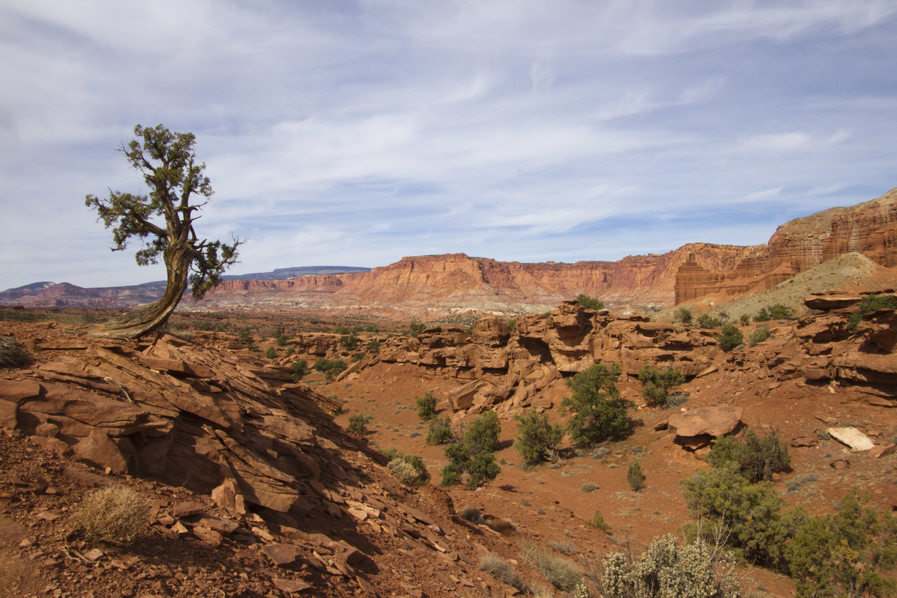 _MG_7872.jpg