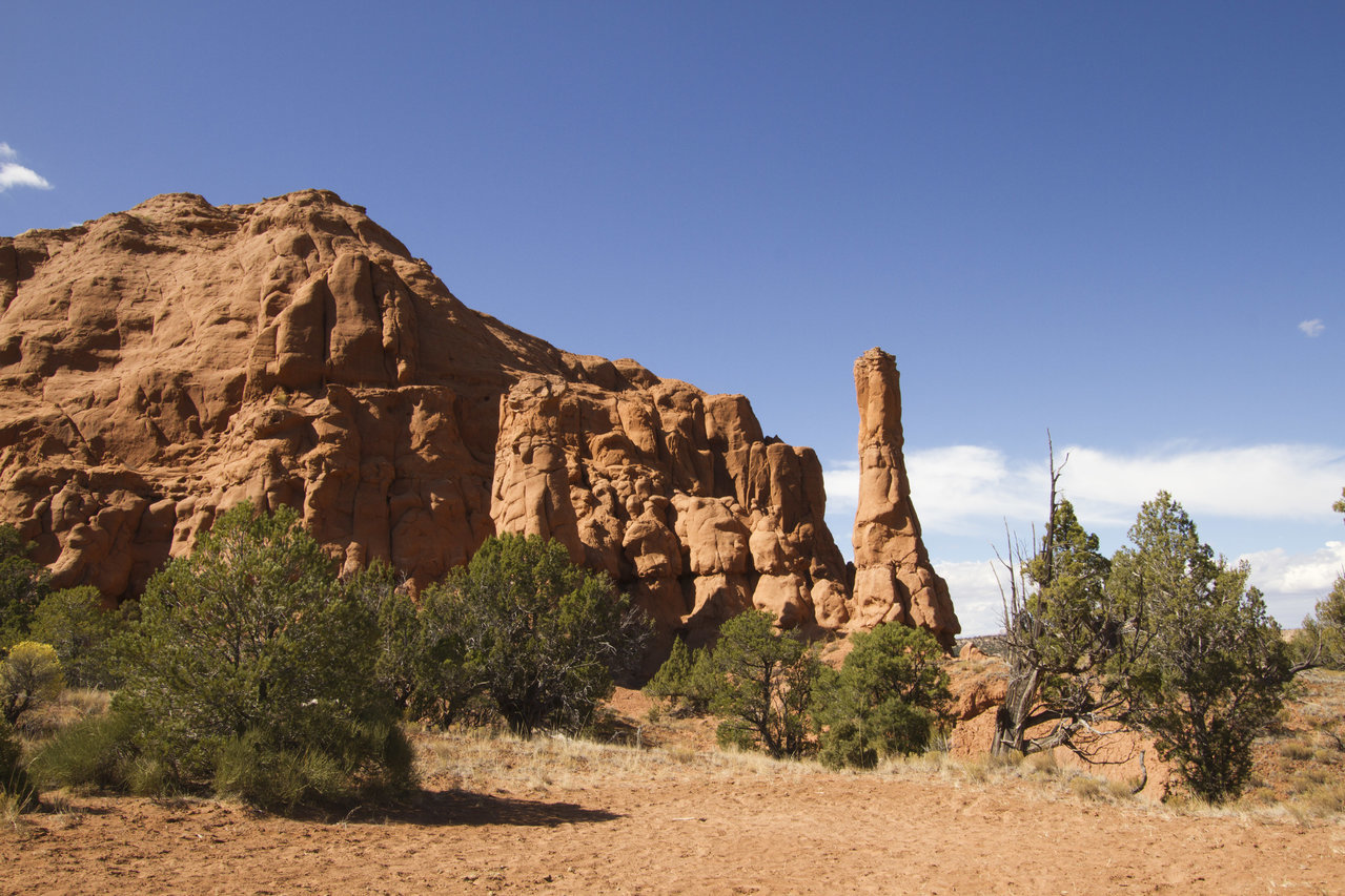 _MG_7979.jpg