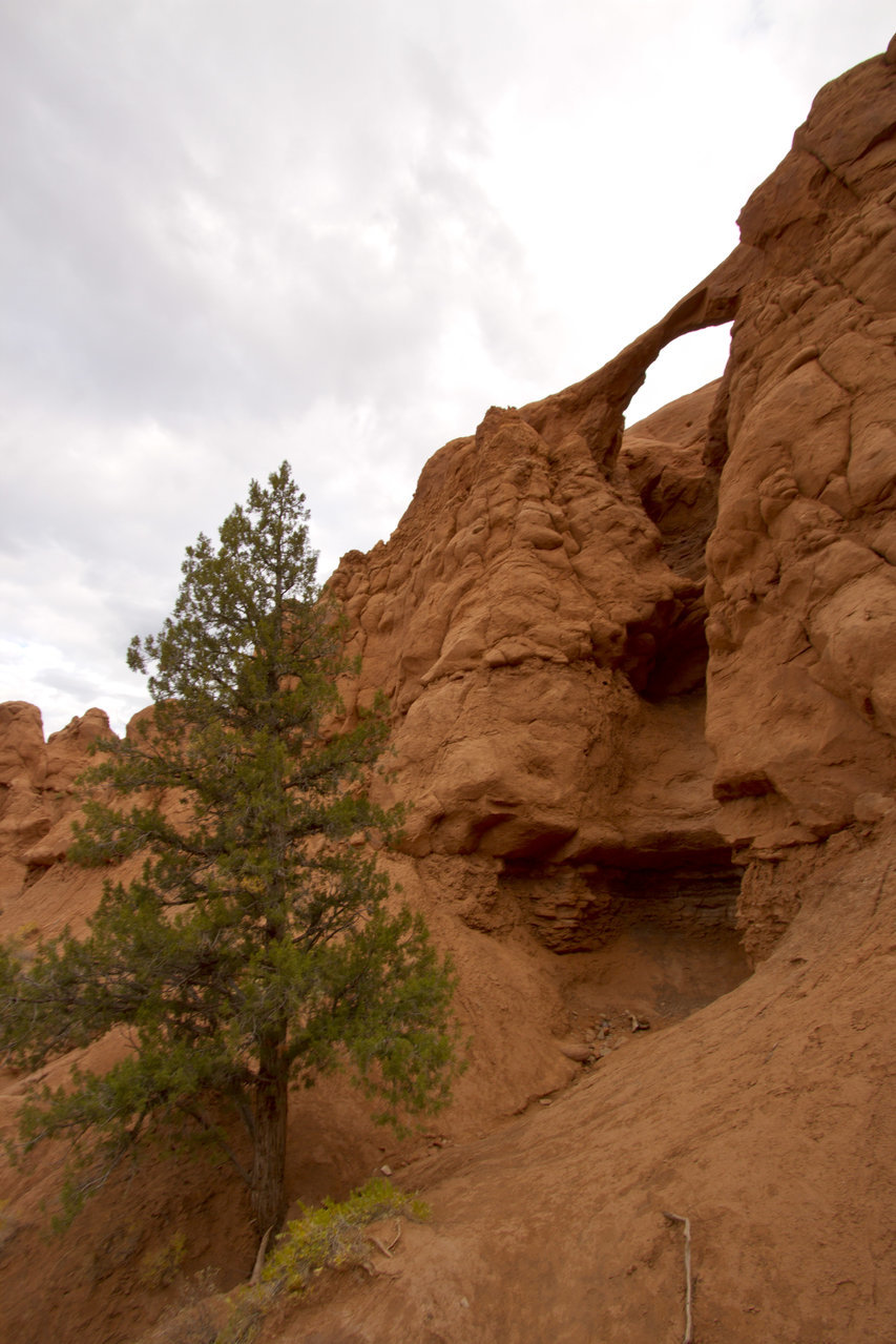 _MG_8048.jpg