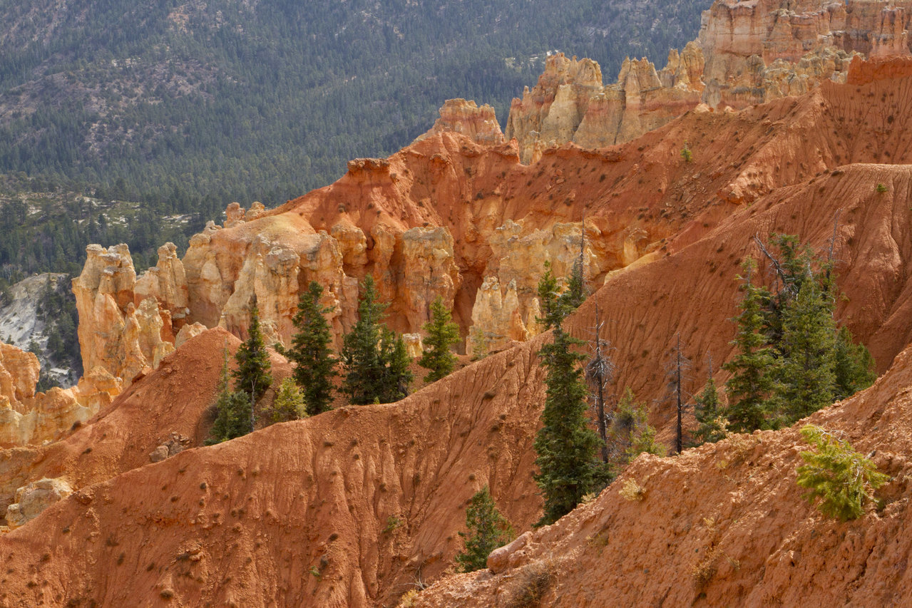_MG_8163.jpg